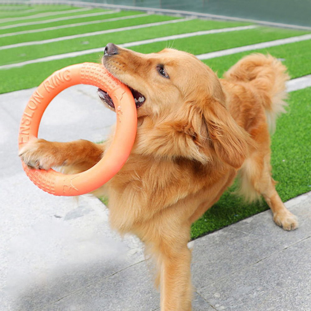Flying Disc Dog Training Toy - Anneau d'entraînement pour chiens, disque volant