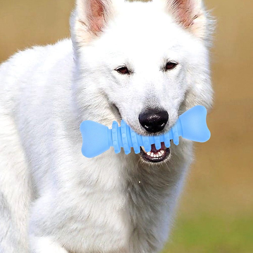 2 os à mâcher pour chiens, en  - Teeth Cleaning Dog Chew Bone avis et prix