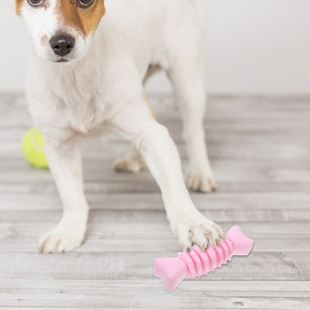 2 os à mâcher pour chiens, en  - Teeth Cleaning Dog Chew Bone avis et prix