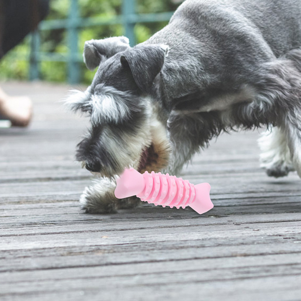 2 os à mâcher pour chiens, en  - Teeth Cleaning Dog Chew Bone avis et prix