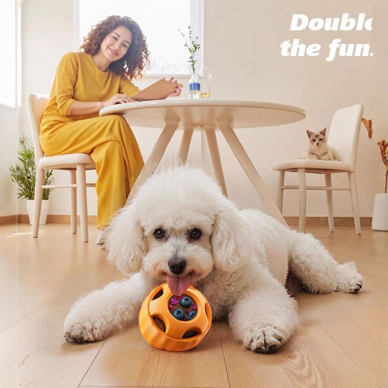 Jouets de distribution de fria - Dog Puzzle Feeder Toy avis et prix