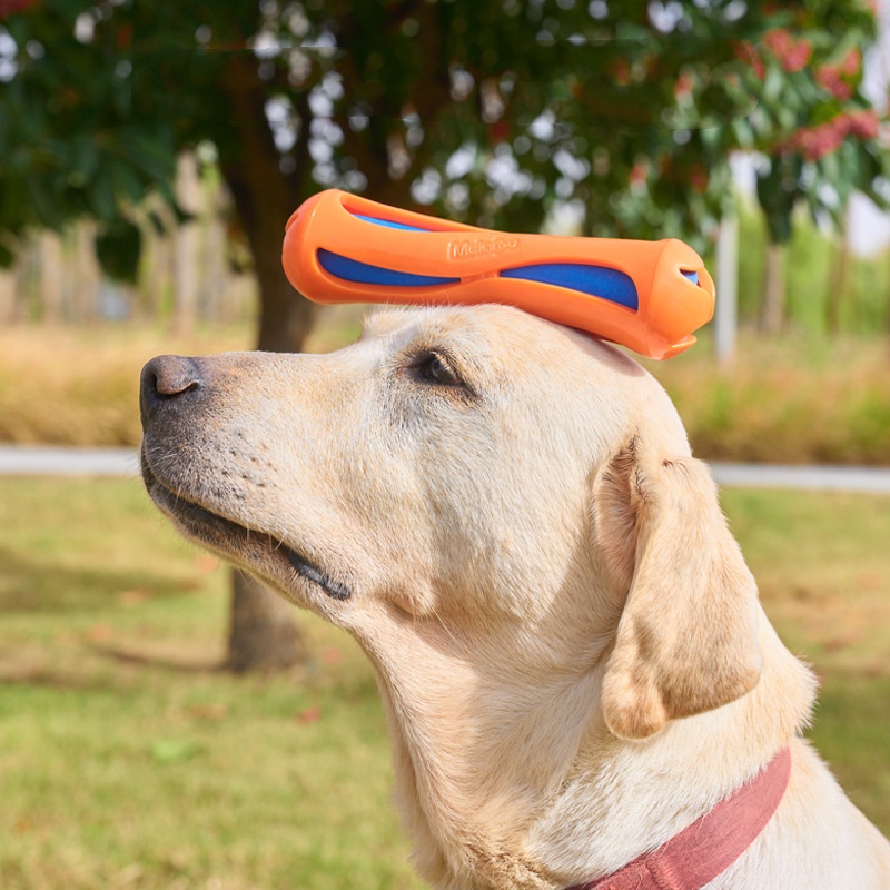 Jouet à mâcher flottant indest - Indestructible Dog Chew Toy avis et prix