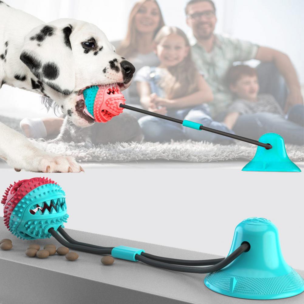 Jouets à mâcher pour chiens, p - Suction Cup Dog Tug Toy avis et prix