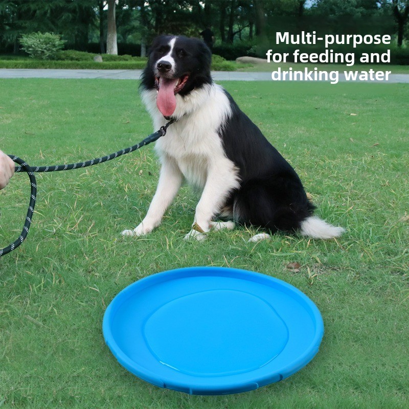 Jouet multicolore pour chien F - Flying Disc Dog Training Toy avis et prix