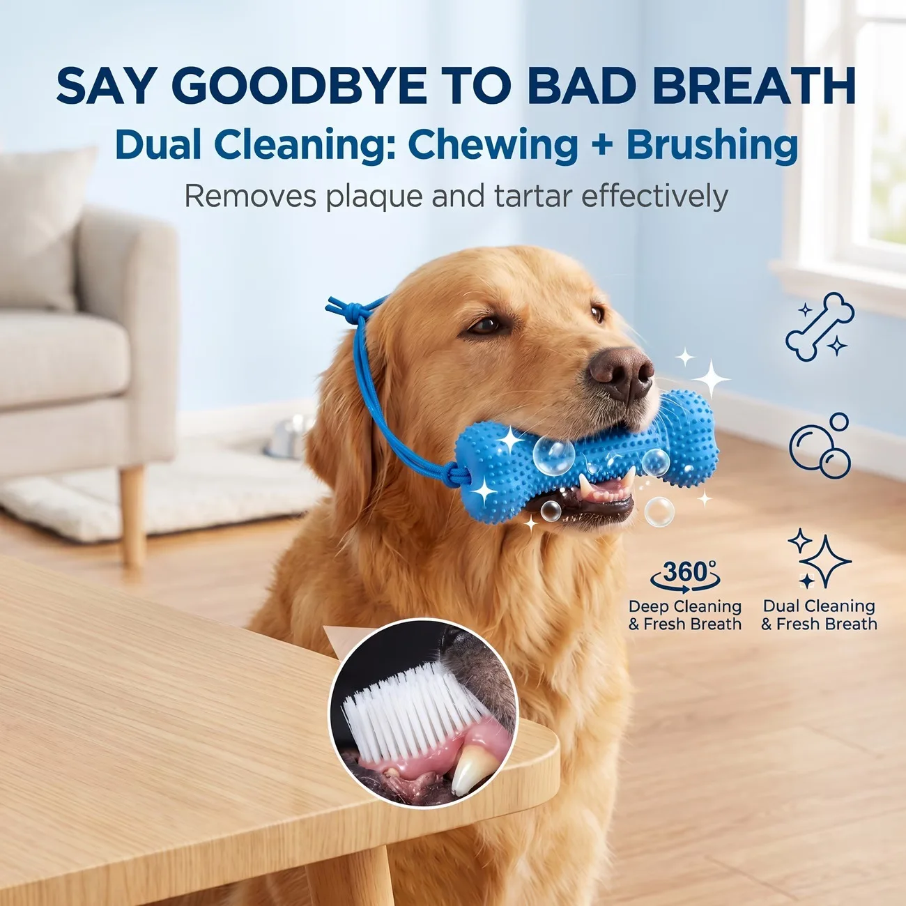 Jouet à mâcher réutilisable po - Teeth Cleaning Dog Chew Bone avis et prix