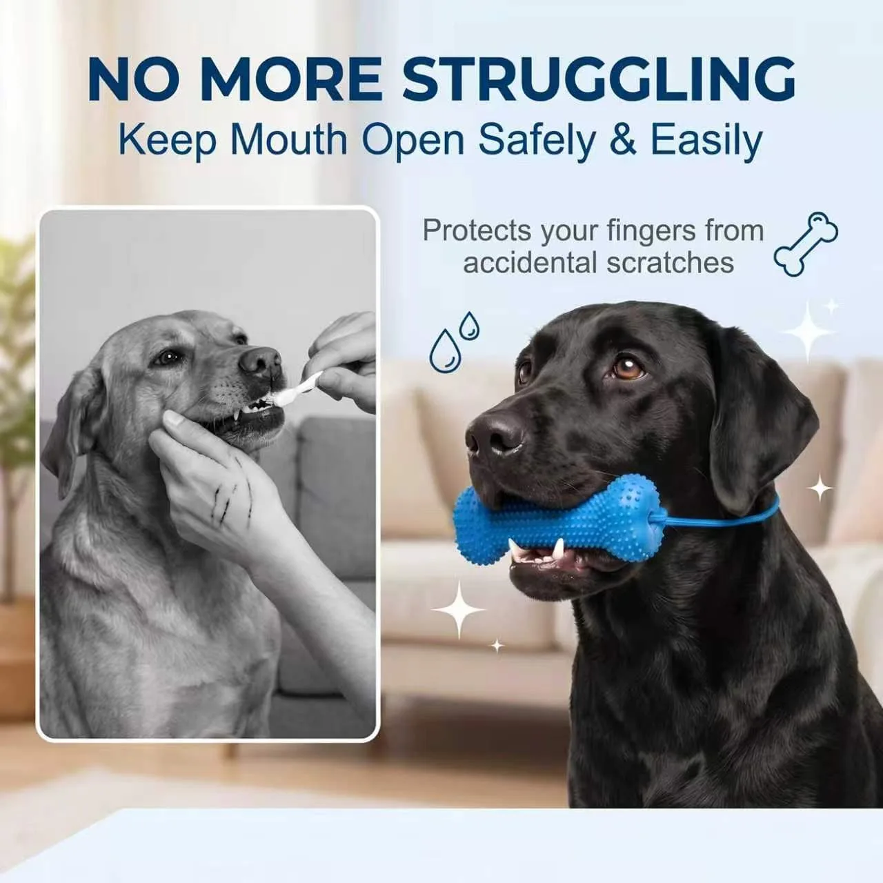 Jouet à mâcher réutilisable po - Teeth Cleaning Dog Chew Bone avis et prix