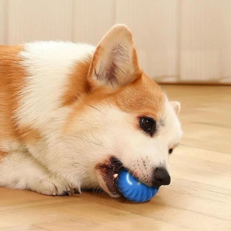 @1G-Balle de jeu pour animaux  - Automatic Moving Dog Ball avis et prix