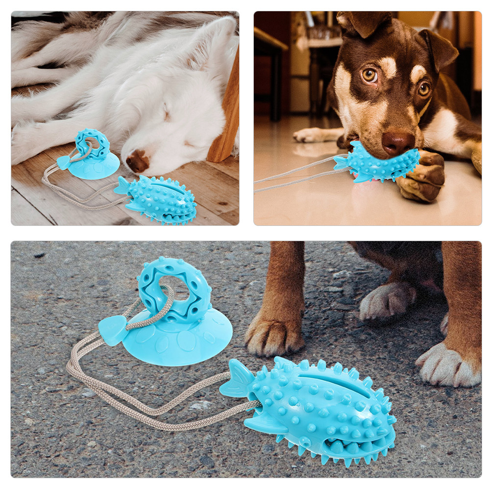 2 pièces, jouet interactif pou - Suction Cup Dog Tug Toy avis et prix
