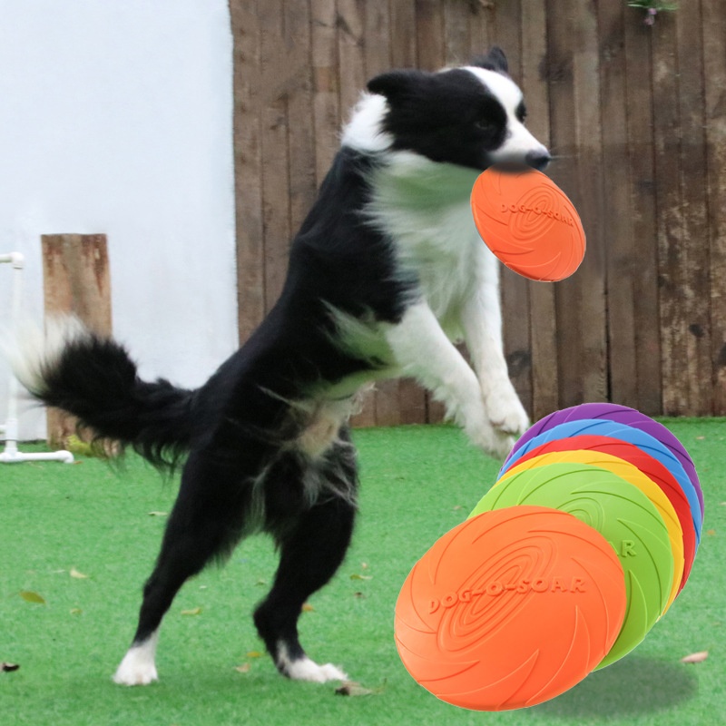 Soucoupe volante interactive e - Flying Disc Dog Training Toy avis et prix