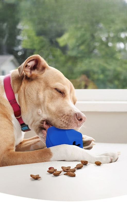 Jouet distributeur de friandis - Rubber Treat Dispensing Dog Toy avis et prix