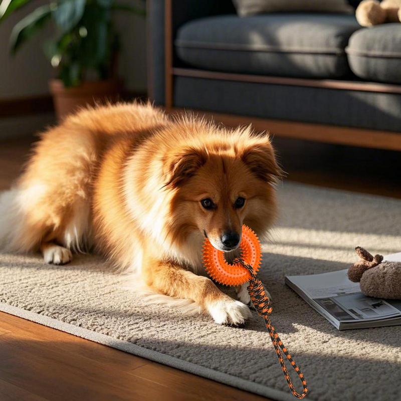 Jouets grinçants pour chiens,  - Dog Rope Toy Aggressive Chewers avis et prix