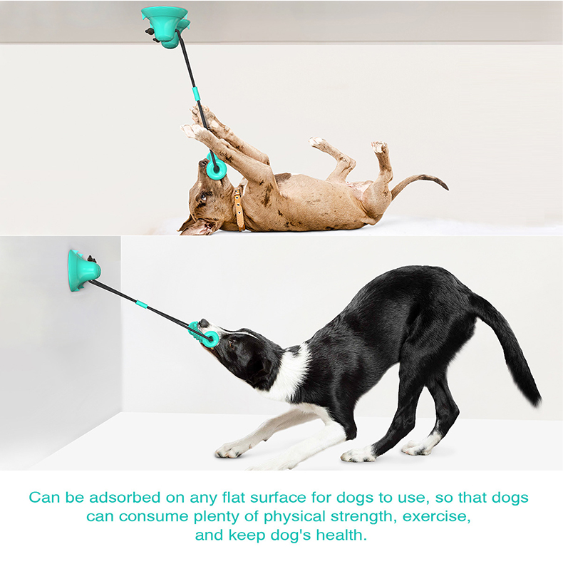 Jouet à mâcher pour chien avec - Suction Cup Dog Tug Toy avis et prix