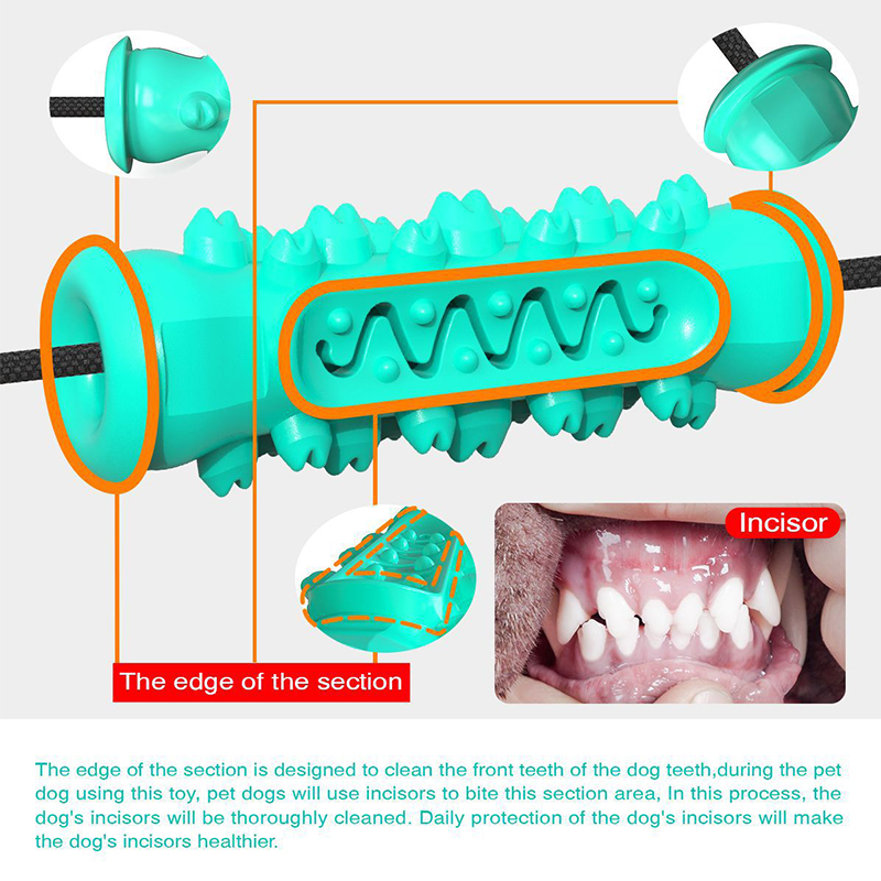 Jouet à mâcher pour chien avec - Suction Cup Dog Tug Toy avis et prix