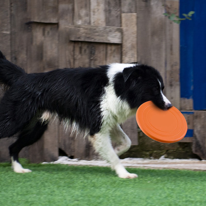 Soucoupe volante en Silicone,  - Flying Disc Dog Training Toy avis et prix