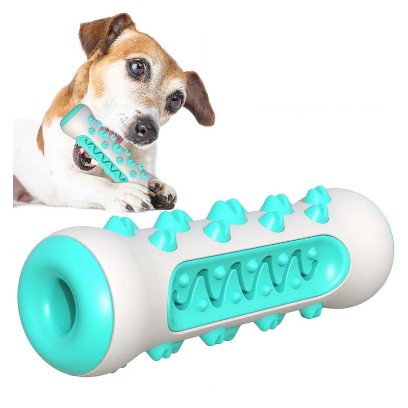 Bâtonnet molaire pour chien en - Teeth Cleaning Dog Chew Bone avis et prix