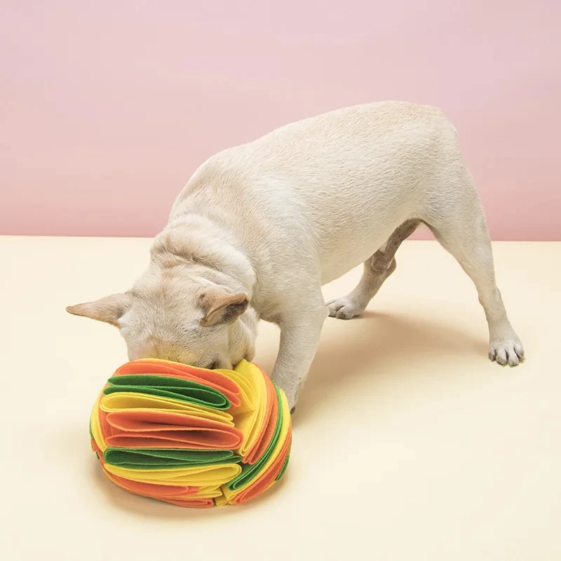 Tapis de boule à reniflage pou - Snuffle Mat For Dogs avis et prix