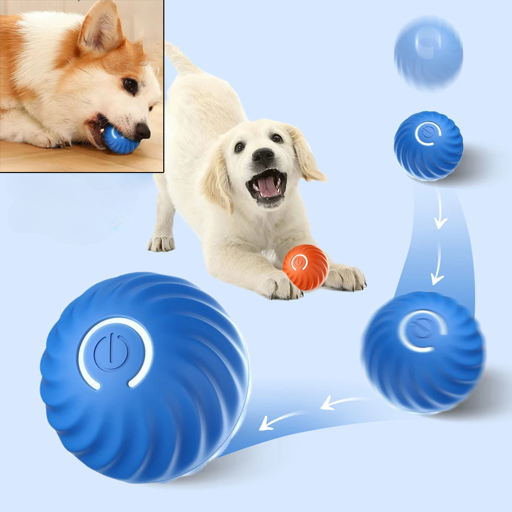 Jouet interactif pour chien, b - Automatic Moving Dog Ball avis et prix