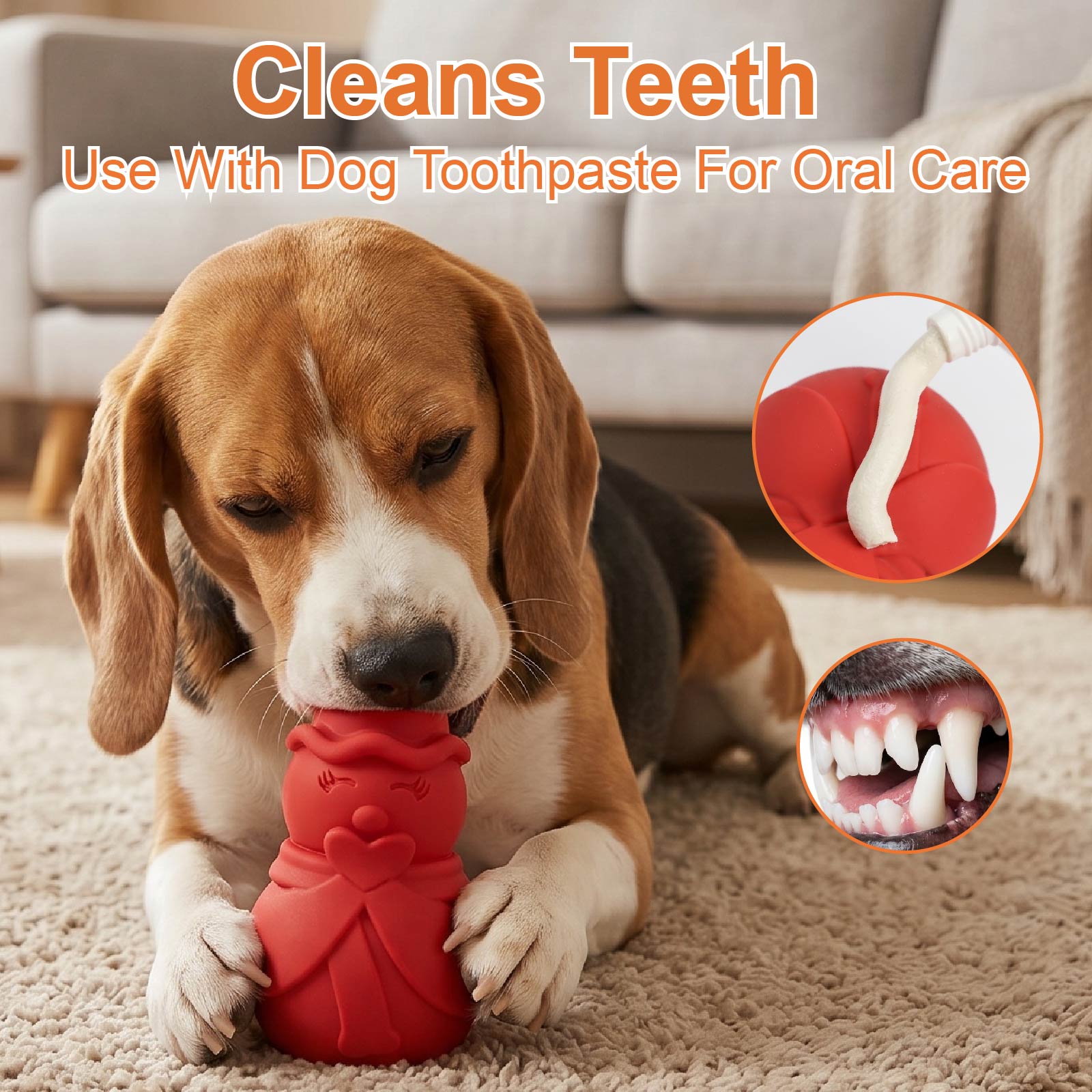 Jouet puzzle pour chien en for - Rubber Treat Dispensing Dog Toy avis et prix