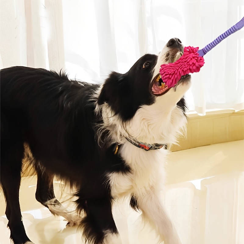Jouets durables pour chiens po - Dog Rope Toy Aggressive Chewers avis et prix