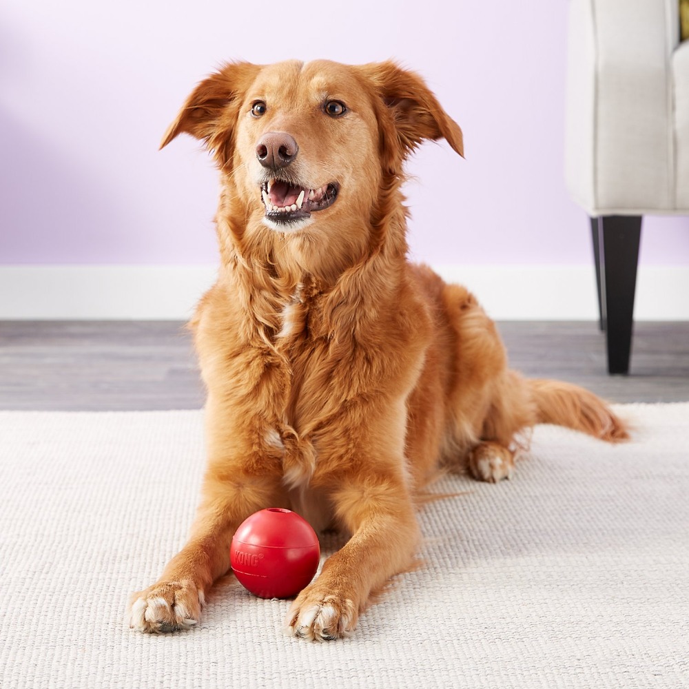 Balle jouet pour chien KONG, M - Indestructible Dog Chew Toy avis et prix