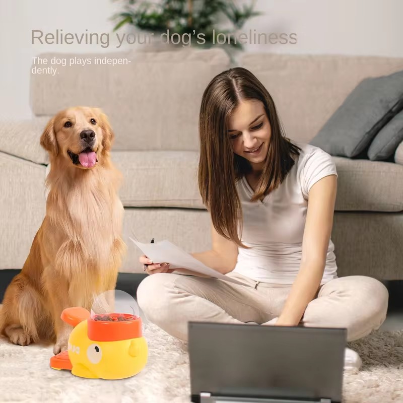 Jouet interactif pour animaux  - Dog Puzzle Feeder Toy avis et prix