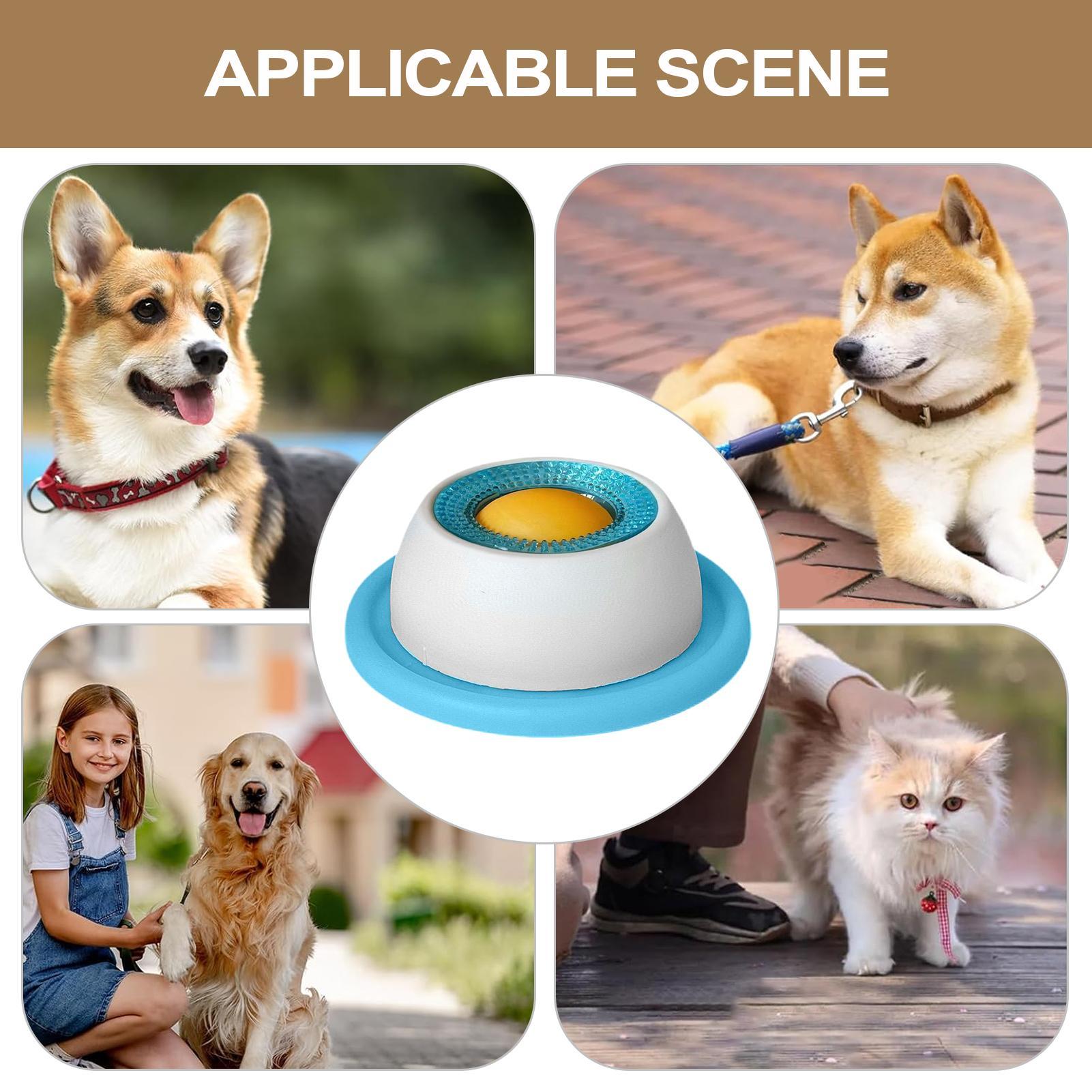 Jouet pour chien, accessoires  - Dog Puzzle Feeder Toy avis et prix