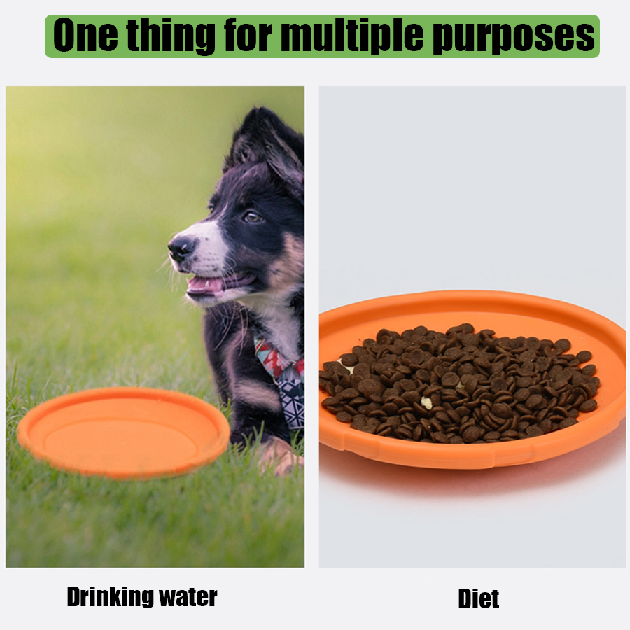 Grand jouet frisbee pour chien - Flying Disc Dog Training Toy avis et prix
